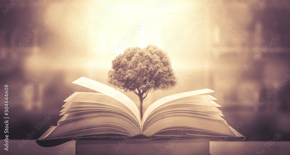 The concept of education by planting a tree of knowledge in the opening of an old book in the library and the magical magic of light that flies to the destination of success. Beautiful background